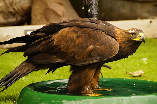 bath-digital-marketing-640x480-28174341.jpeg