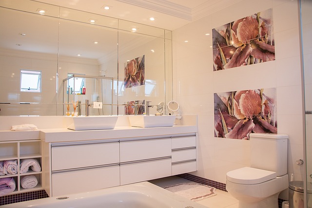 bathroom drain cleaning