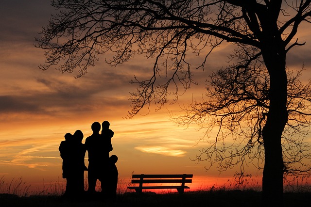 child custody law firm