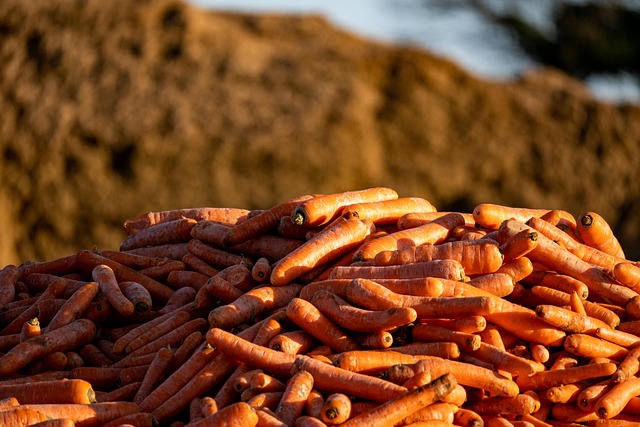 continuous feed disposal