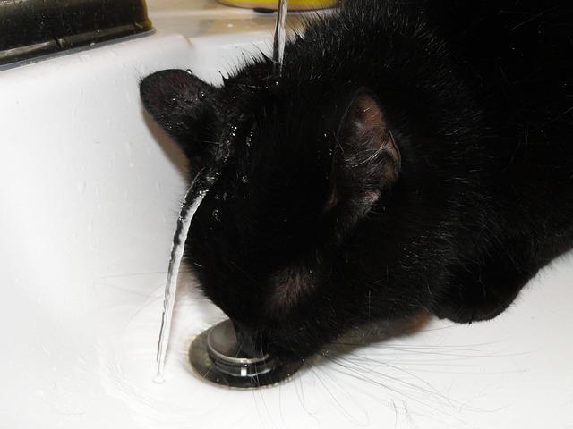 drain augering
