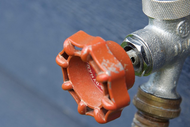 drain rooter