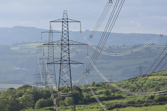 electrician seo services
