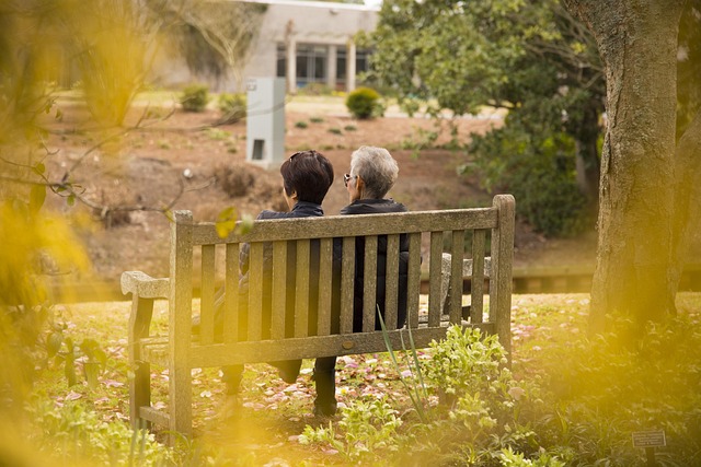 family legal services