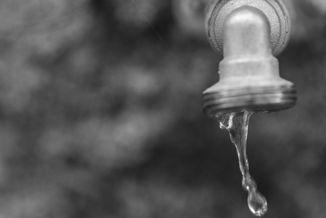 faucet washer replacement