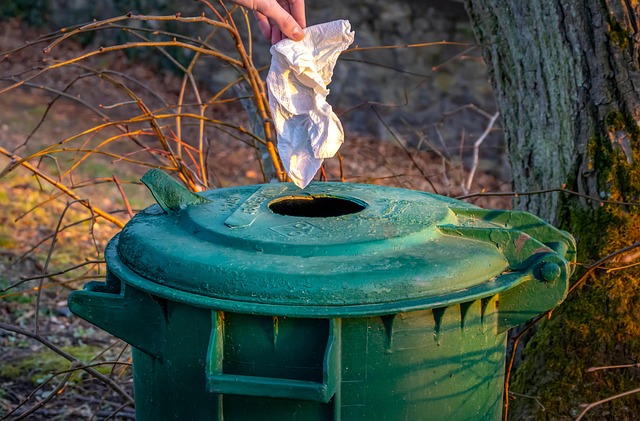 garbage disposal grinding