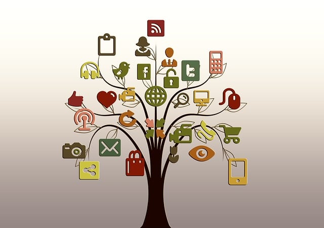 google ads management