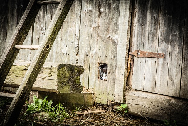 hidden leak detection