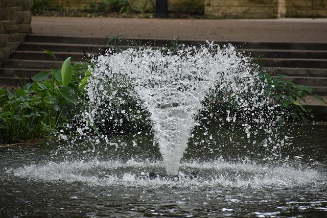 houston plumbing