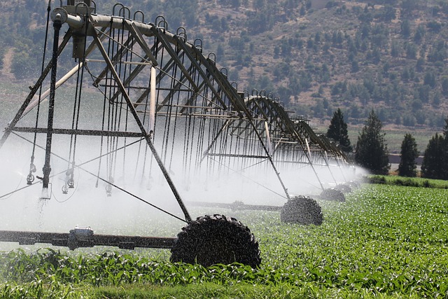 irrigation leak repair