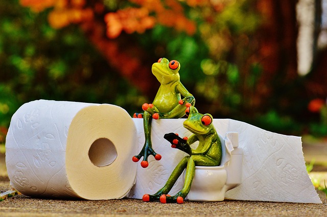 knoxville-toilet-repair-640x480-50686151.jpeg