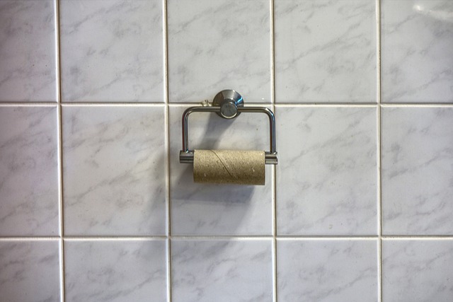 knoxville toilet repair