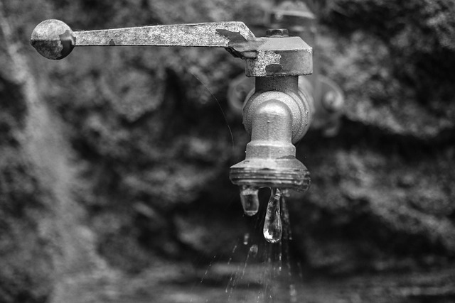 pull out faucet