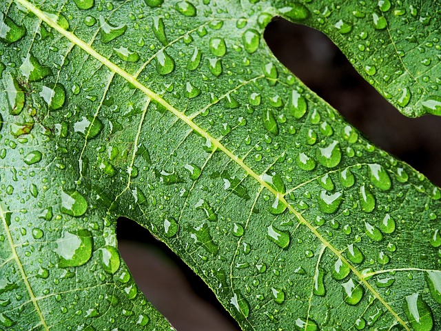 rain-shower-installation-640x480-94087987.jpeg