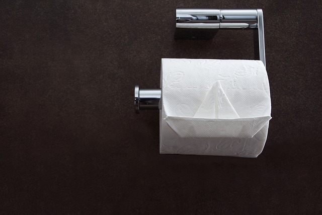 seattle toilet repair
