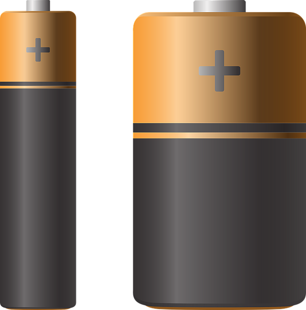 sewer backup