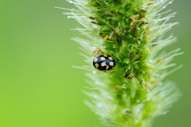 sewer-line-replacement-640x480-56710886.jpeg
