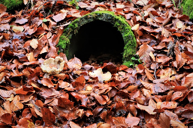 sewer permit
