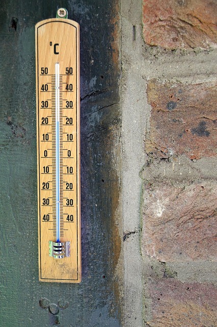sewer-scale-removal-640x480-31456929.jpeg