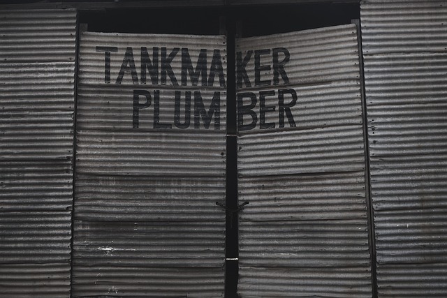 skilled plumbers