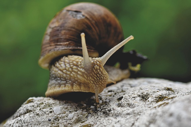 slow drain