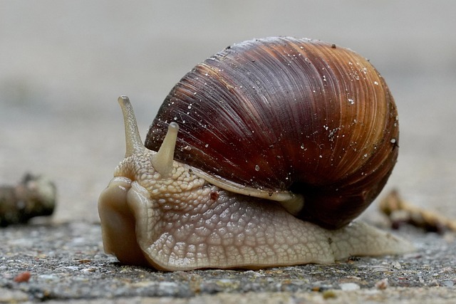 slow drain