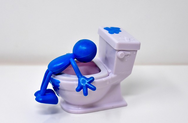 smart toilet installation