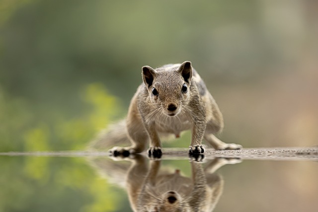 squirrel-hill-plumbing-640x480-85408028.jpeg