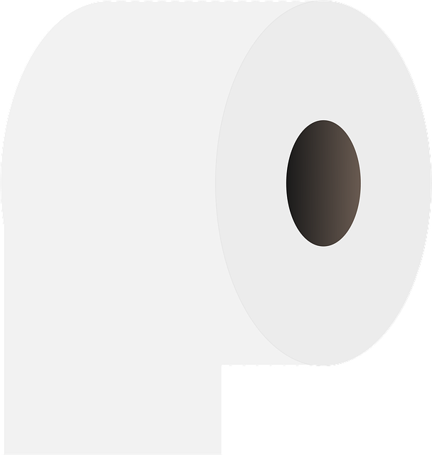 toilet flapper replacement