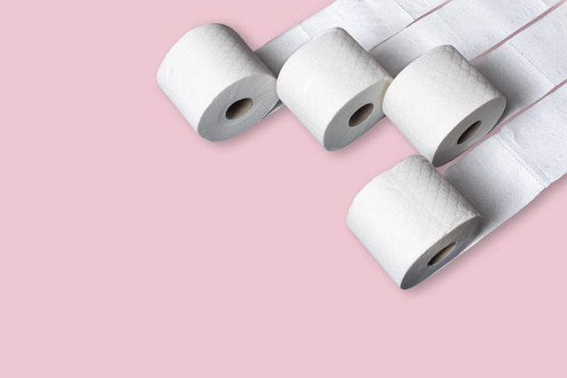 toilet maintenance