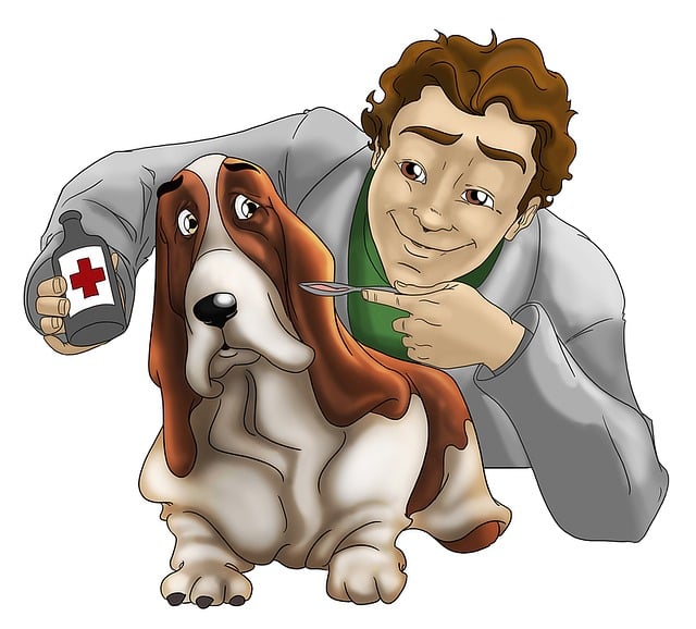 veterinary-plumbing-640x480-46837730.jpeg