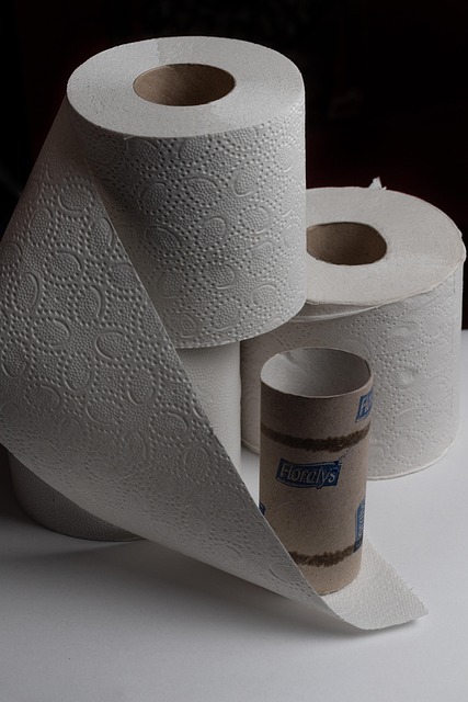 wall-hung-toilet-640x480-89720653.jpeg