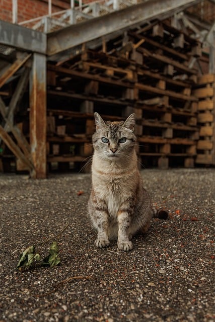 warehouse-paving-640x480-90323328.jpeg