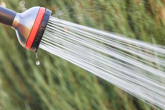 accessible shower