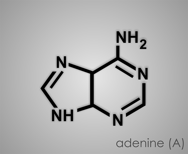 acid neutralizer