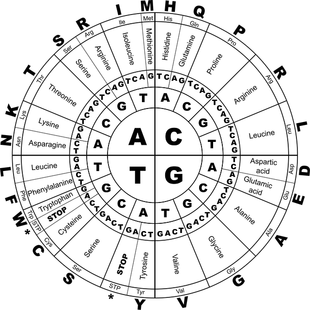 acid neutralizer