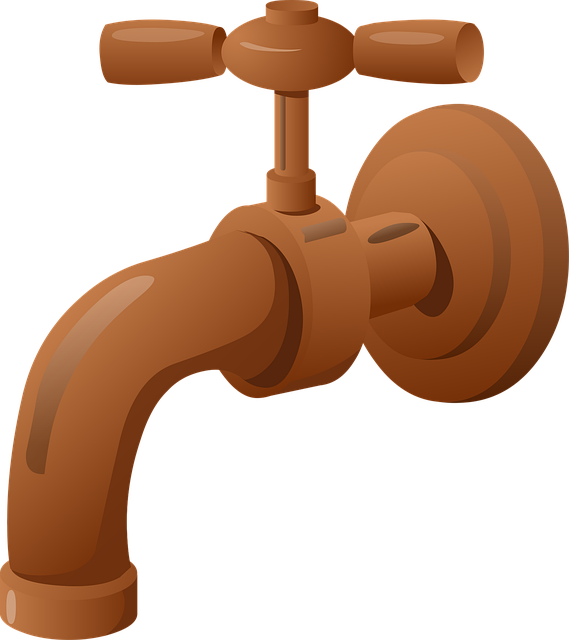 bellevue plumbing