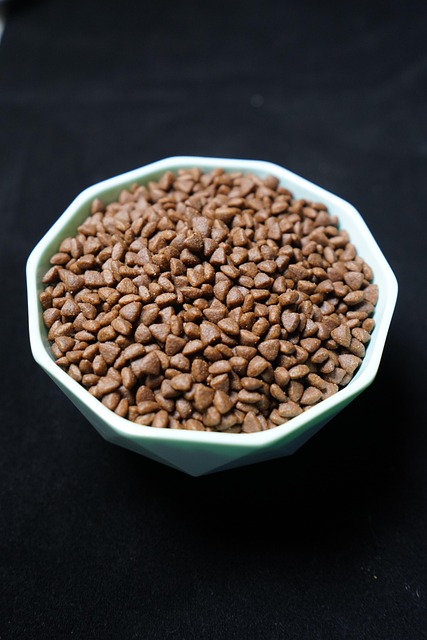 continuous-feed-disposal-640x480-33656235.jpeg