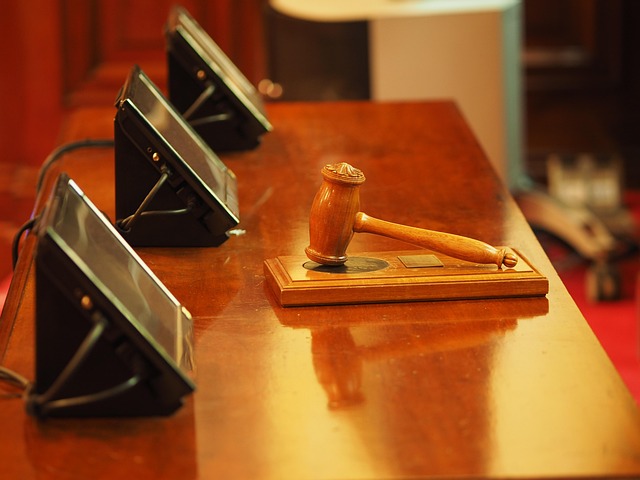 custody legal services