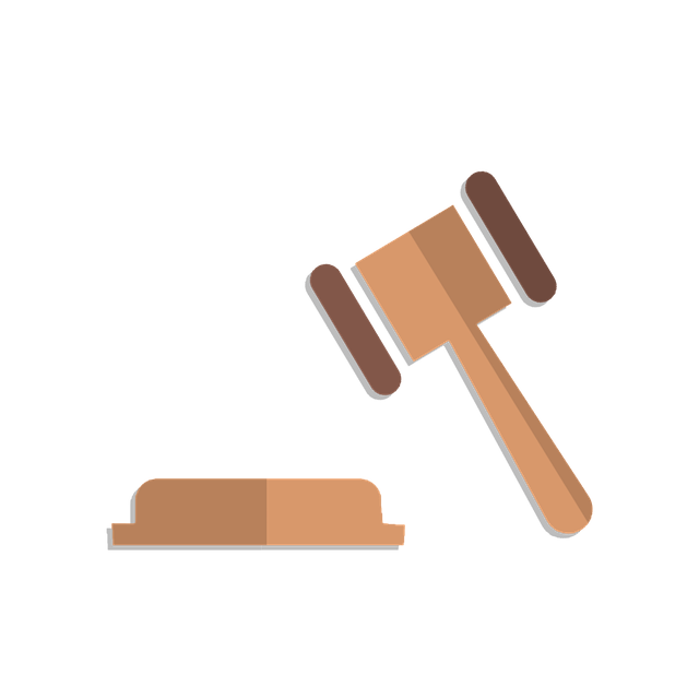 custody legal services
