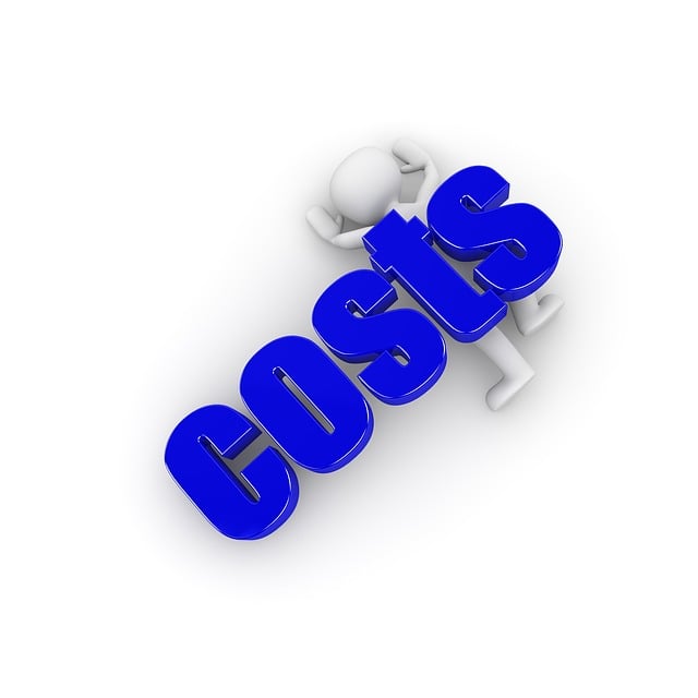drain cleaning cost