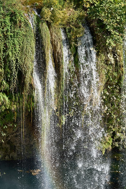 drain rooter