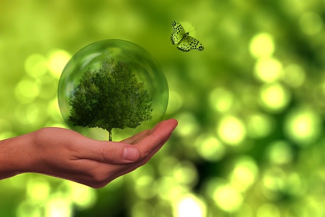 eco-friendly-drain-cleaning-640x480-88014344.jpeg