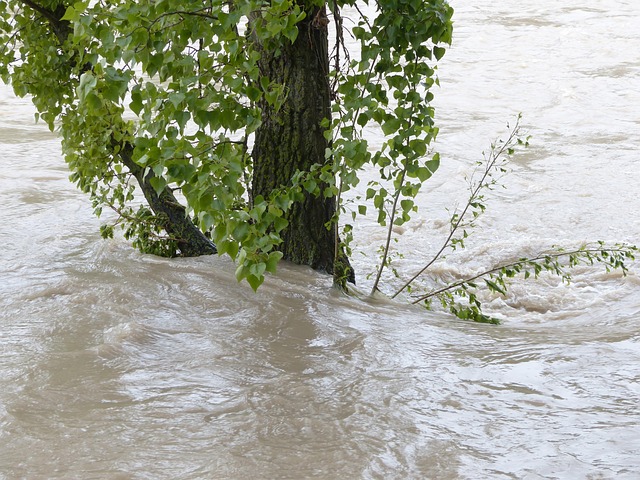 flood cleanup plumbing