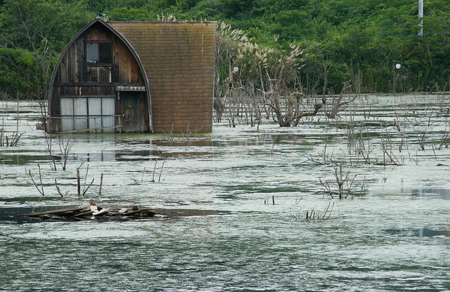 flood cleanup plumbing