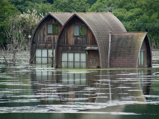 flood cleanup plumbing