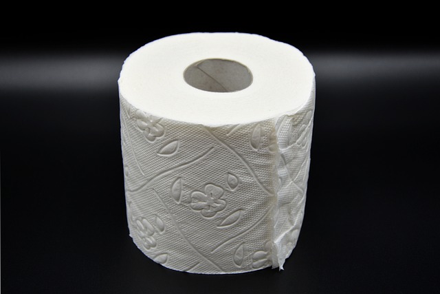 knoxville-toilet-repair-640x480-98203763.jpeg