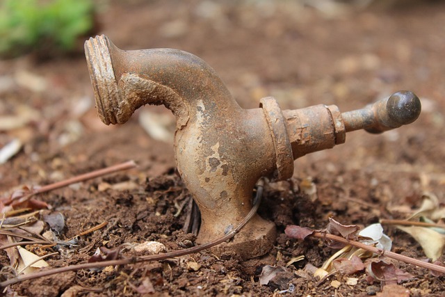 pull down faucet