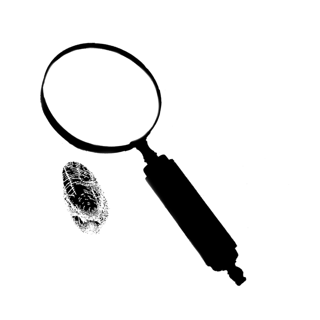 search advertising