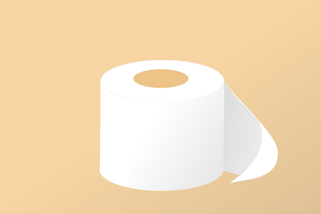 seattle toilet repair